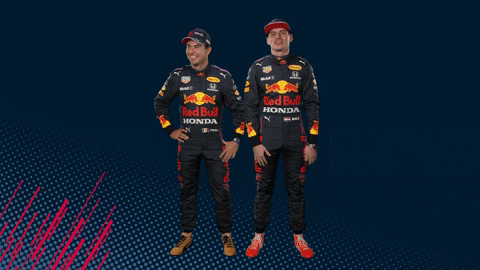Red Bull Sport GIF by Red Bull Racing Honda