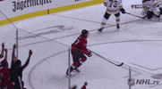 happy ice hockey GIF by NHL