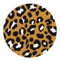 Roar Invulboek Sticker by studioinsenouts