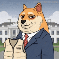 White House Deal With It GIF by Doge Pound