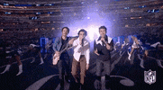 Jonas Brothers Football GIF by NFL
