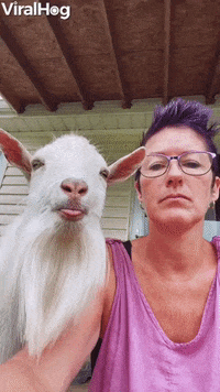 Two Tongues Stuck Out GIF by ViralHog