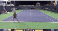 GIF by Tennis Channel