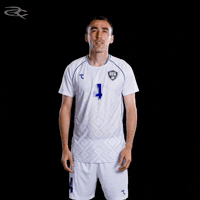 Fifa World Cup Afc GIF by Respective