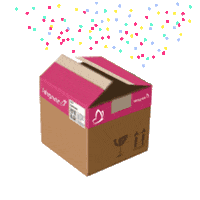 Box Delivery Sticker by Veepee