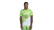 Football Applause Sticker by VfL Wolfsburg