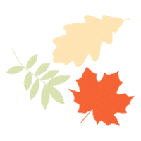 Fall Leaves Sticker by Kohl's