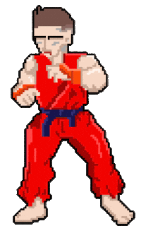 Street Fighter Videogames Sticker by snowmusic