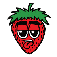 terpboii terps terpboii terpboy terpboi Sticker