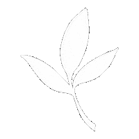 Grow White Lines Sticker