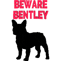 Beware French Bulldog Sticker by Homeless Penthouse