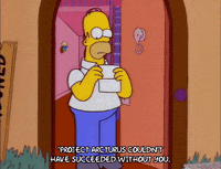 homer simpson GIF