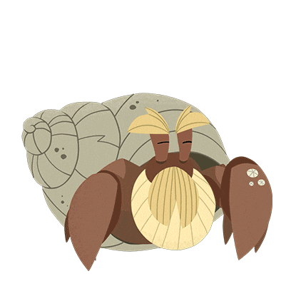 Hermit Crab Animation Sticker by Puffin Rock