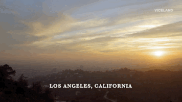 viceland GIF by Bong Appétit