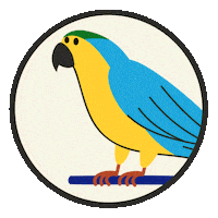 Bird Fly Sticker by Real Reason for Pets