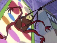 nickrewind nicksplat angry beavers GIF
