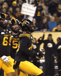 Tiger-Cats Football GIF by Hamilton Sports Group