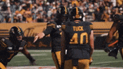 Tiger-Cats Football GIF by Hamilton Sports Group