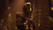 Tiger-Cats Cfl GIF by Hamilton Sports Group