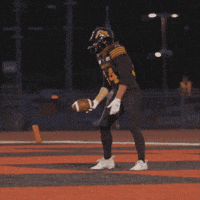 Tiger-Cats Football GIF by Hamilton Sports Group
