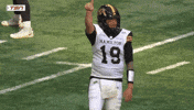 Tiger-Cats Touchdown GIF by Hamilton Sports Group