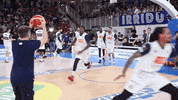 leonessabrescia basket brescia abi fip GIF