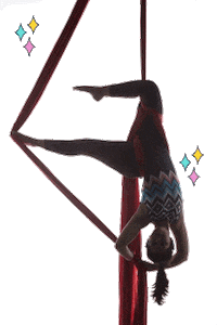 Aerialsilks Tecido Acrobatico Sticker by Circusfitbr