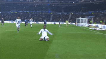 les gones lyon GIF by Olympique Lyonnais