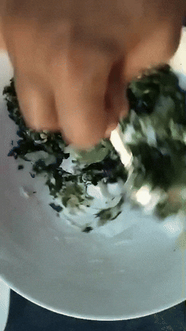 giphy.gif