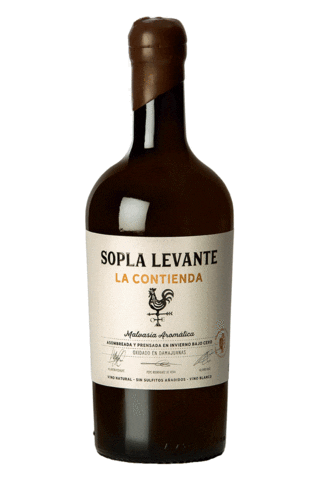 Vino Sticker by Bodega Rodríguez De Vera