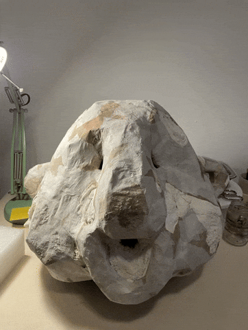 Canadian Technology GIF by Alex Boya