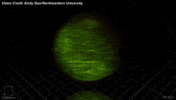 video egg GIF by Science Friday