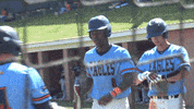 GIF by Carson-Newman Athletics