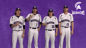 Baseball Warriors GIF by WinonaStateATH