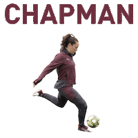 world cup football Sticker by PUMA