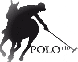 POLOPLUS10 poloplus10 GIF