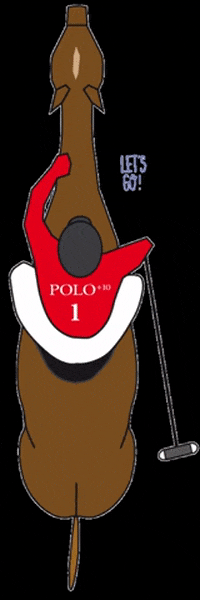 POLOPLUS10 polo poloplus10 GIF