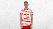 No Problem Football GIF by RB Leipzig