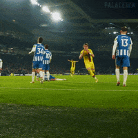 Premier League Football GIF by CPFC