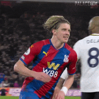 Premier League Football GIF by CPFC