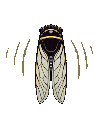 Summer Screaming Sticker