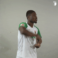 Football Party GIF by FC Augsburg 1907