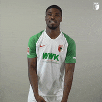 Football Soccer GIF by FC Augsburg 1907