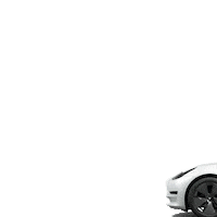 Car Auto Sticker by N-XTC