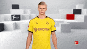 Posing Line Up GIF by Bundesliga