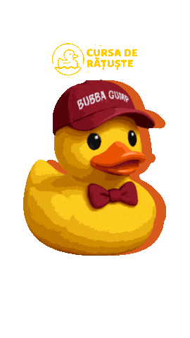 cursaderatustebuc yellow duck ducks rata Sticker