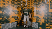 Baseball Bison GIF by NDSU Athletics