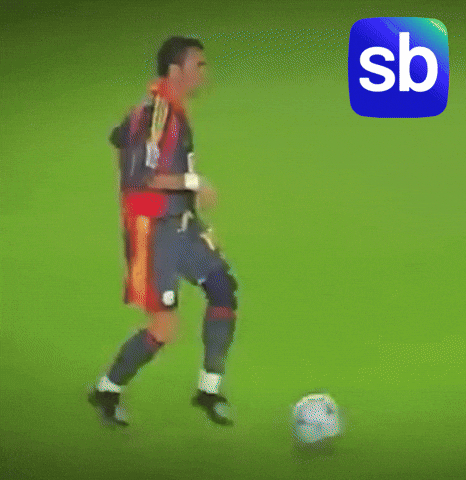 Galatasaray Gs GIF by Sporbulteni