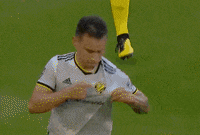 Sport Love GIF by Major League Soccer