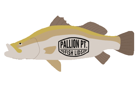 pallionpoint giphyupload ocean fish australia Sticker